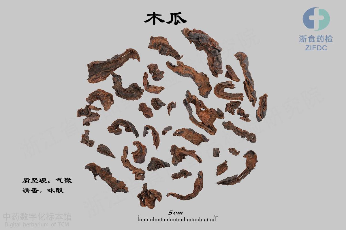 木瓜 标本影像
